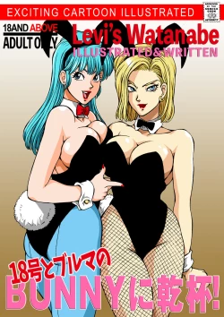 Page 1 of 18 to Bulma no Bunnygirl ni Kanpai!