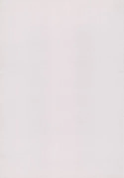 Page 36 of RURIMIX SP