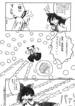 Page 10 of Shin Touhou Rankasai