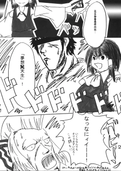 Page 11 of Shin Touhou Rankasai