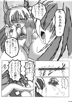 Page 43 of Shin Touhou Rankasai