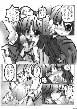 Page 45 of Shin Touhou Rankasai