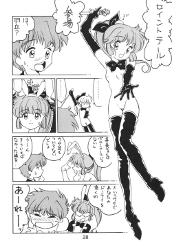 Page 28 of NN Kakubakudan