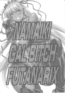 Page 29 of NAMAIKI GAL BITCH FUTANARIX