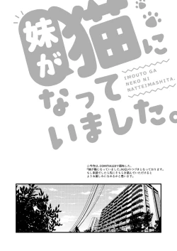 Page 2 of Imouto ga Neko ni Natteimashita. 3