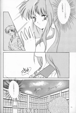 Page 13 of Shiori DaiShou Futarime no Jushin