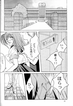 Page 21 of Shiori DaiShou Futarime no Jushin