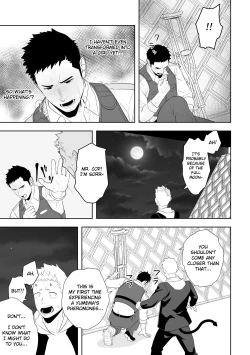 Page 27 of Midnight Rescue