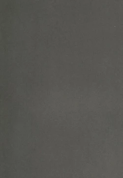 Page 41 of x2 ASSORT2