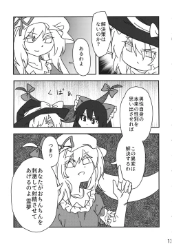 Page 12 of Reimu vs Ochinchin
