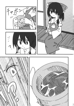 Page 2 of Reimu vs Ochinchin
