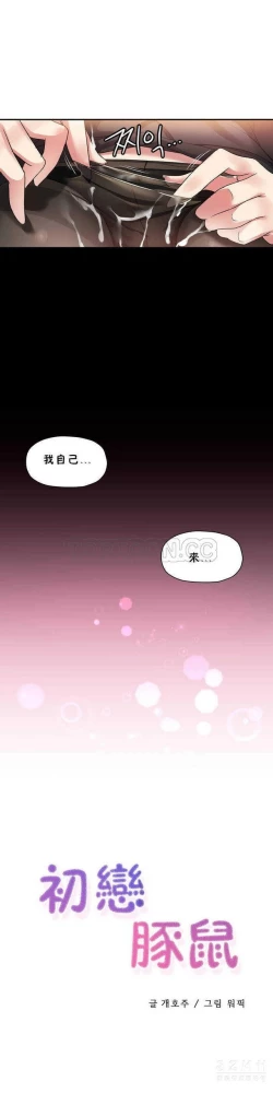 Page 285 of 中文韩漫 初恋豚鼠 ch.11-34