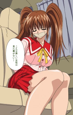 Page 4 of Ryoujoku no rensaKanzenban