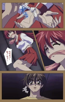 Page 224 of Daraku kanzenhan