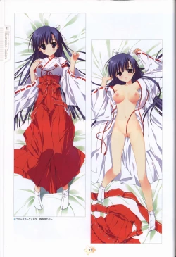 Page 14 of Hoshizora e Kakaru Hash visual fanbook