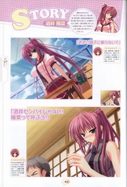 Page 86 of Hoshizora e Kakaru Hash visual fanbook