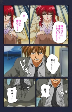 Page 20 of Chikan Densha kanzenhan