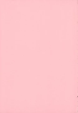 Page 205 of Ane wa Boku ni Sakarae Nai