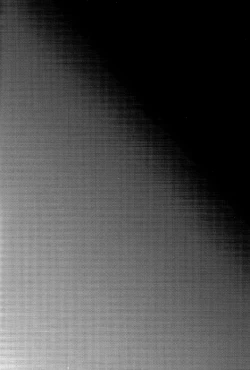 Page 4 of Wolf Sheep Lesson