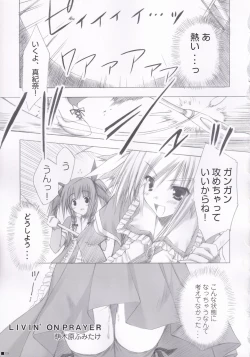 Page 38 of Lhasa III