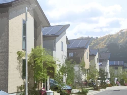 Page 168 of Uchiki na Jyumai ga Ore no Tame ni Karada o Kitaeta Kekka