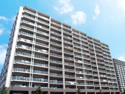 Page 215 of Uchiki na Jyumai ga Ore no Tame ni Karada o Kitaeta Kekka