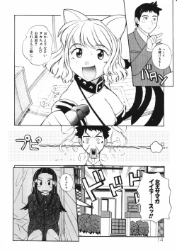 Page 18 of Mesuniku no Inshuu