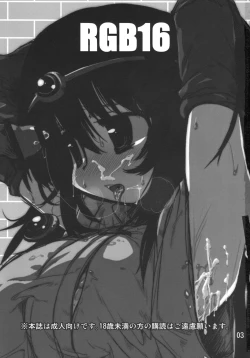 Page 2 of RGB-16