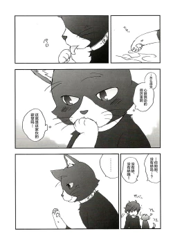 Page 12 of Tokubetsu Kyuukou Mementos