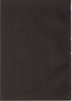 Page 20 of Bokunchi no Maid-san.