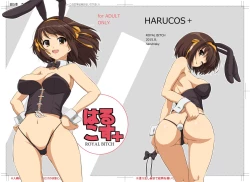 Page 2 of Harucos+