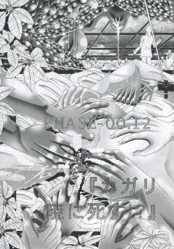 Page 4 of RANDOM NUDE Vol.4 - Cagalli Yula Athha