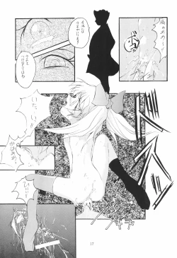 Page 17 of MIDORI NO KUSURI YASAN