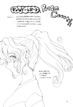 Page 23 of MIDORI NO KUSURI YASAN