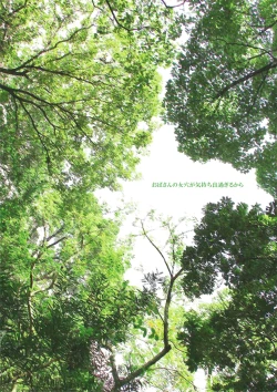 Page 3 of Obasan wa Chou Meiki Datta~