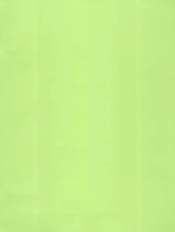 Page 2 of Robo-teki na