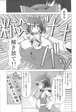 Page 6 of Hakurei Reimu no Tenka Tottaru de!