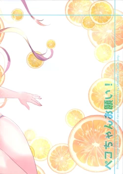 Page 3 of Peco-chan Onegai!