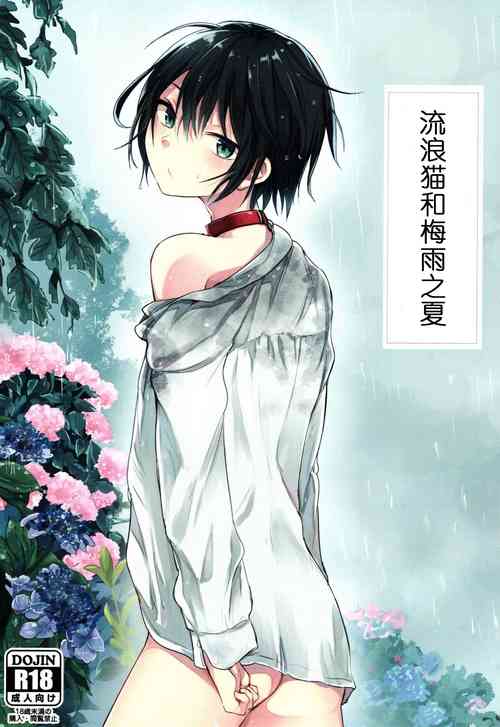 Download Nora Neko to Rainy Days | 流浪猫和梅雨之夏