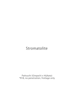 Page 2 of Stromatolite