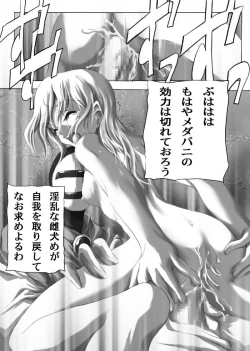 Page 32 of Inuhime Muzan