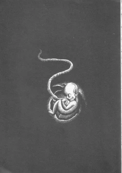 Page 161 of Majo Kyoushi Mayako