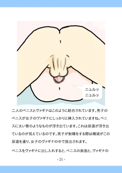 Page 21 of Shishunki no Tame no Sex no Hon