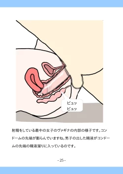 Page 25 of Shishunki no Tame no Sex no Hon