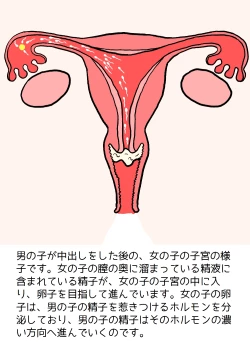 Page 59 of Shishunki no Otokonoko no Tame no Seikyouiku Onnanoko o Ninshin saseru Tame no Nakadashi Sex Nyuumon