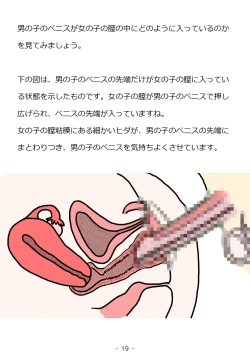 Page 19 of Shishunki no Otokonoko no Tame no Seikyouiku Doukyuusei no Onnanoko to Sex o Shite Aka-chan o Tsukuru Ohanashi