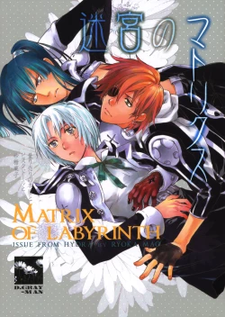 Page 1 of The Matrix of Labirynth