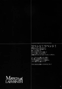 Page 22 of The Matrix of Labirynth