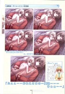 Page 64 of Otome wa boku ni koi shiteru Visual Fanbook