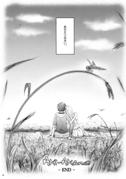 Page 43 of AkiKouhen II-
